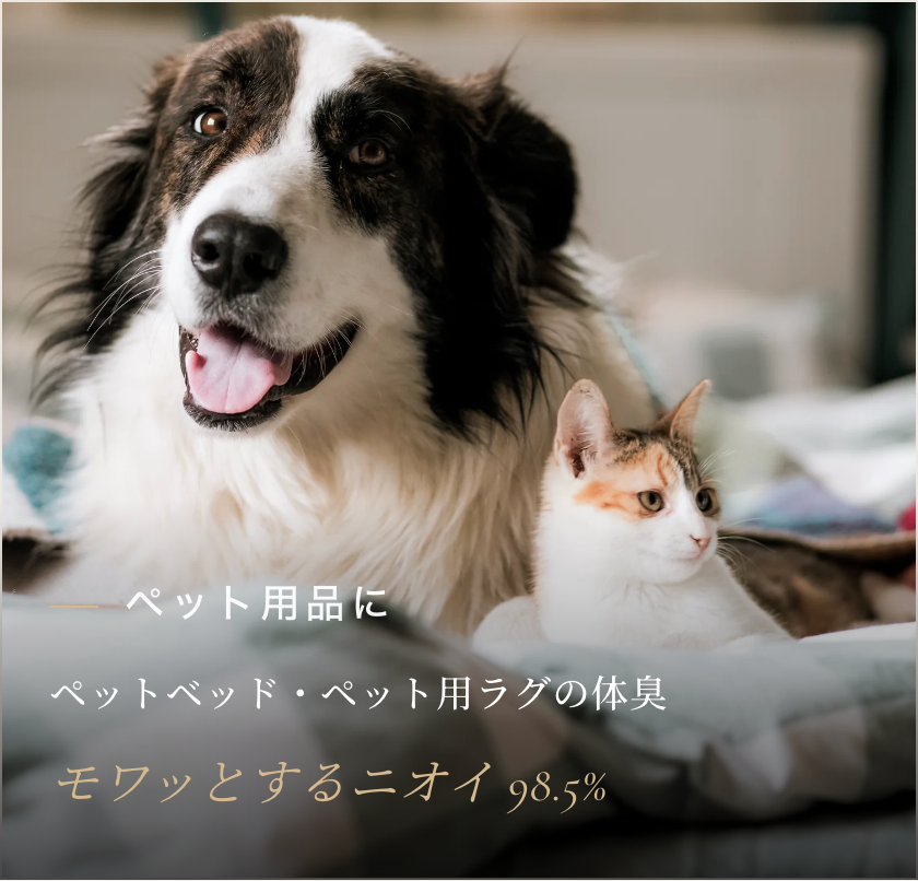 【消臭タイプ】デオシールド300ml