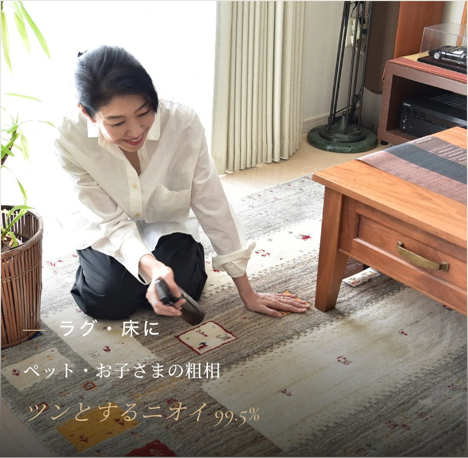 【消臭タイプ】デオシールド300ml