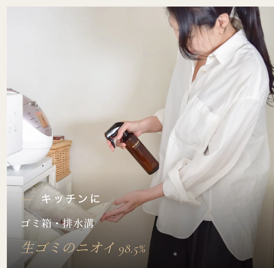【消臭タイプ】デオシールド300ml